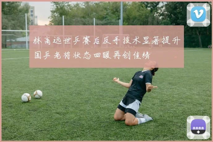 林高远世乒赛后反手技术显著提升国乒老将状态回暖再创佳绩